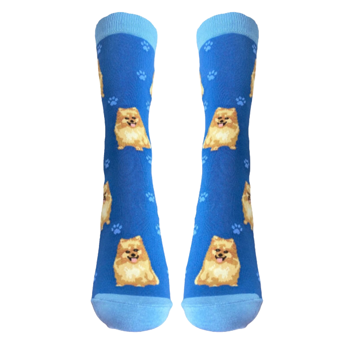 Pomeranian Dog Socks