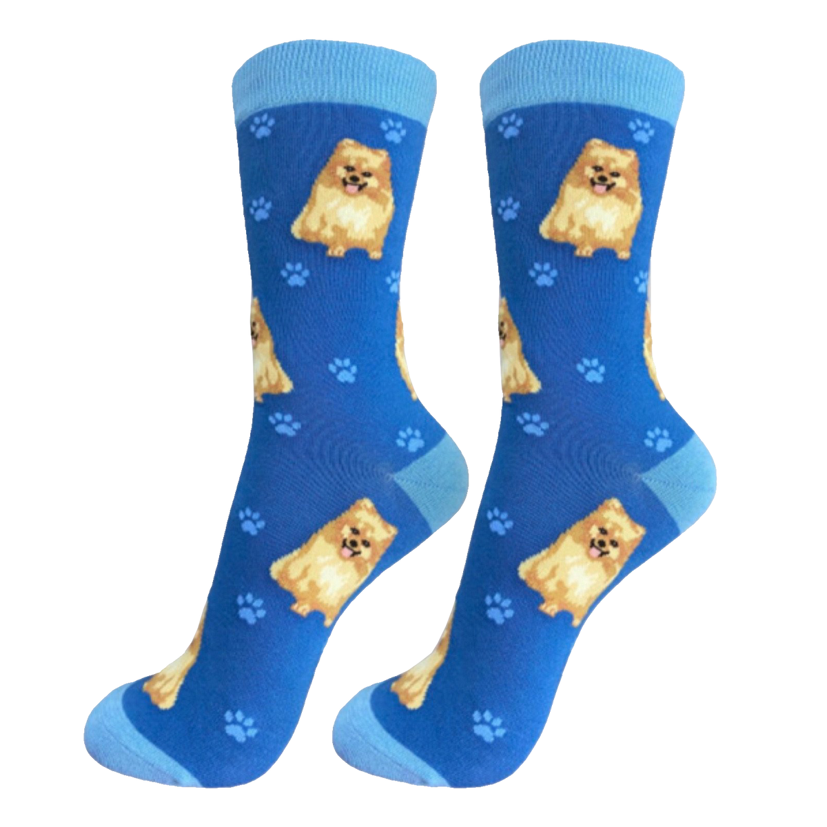 Pomeranian Dog Socks