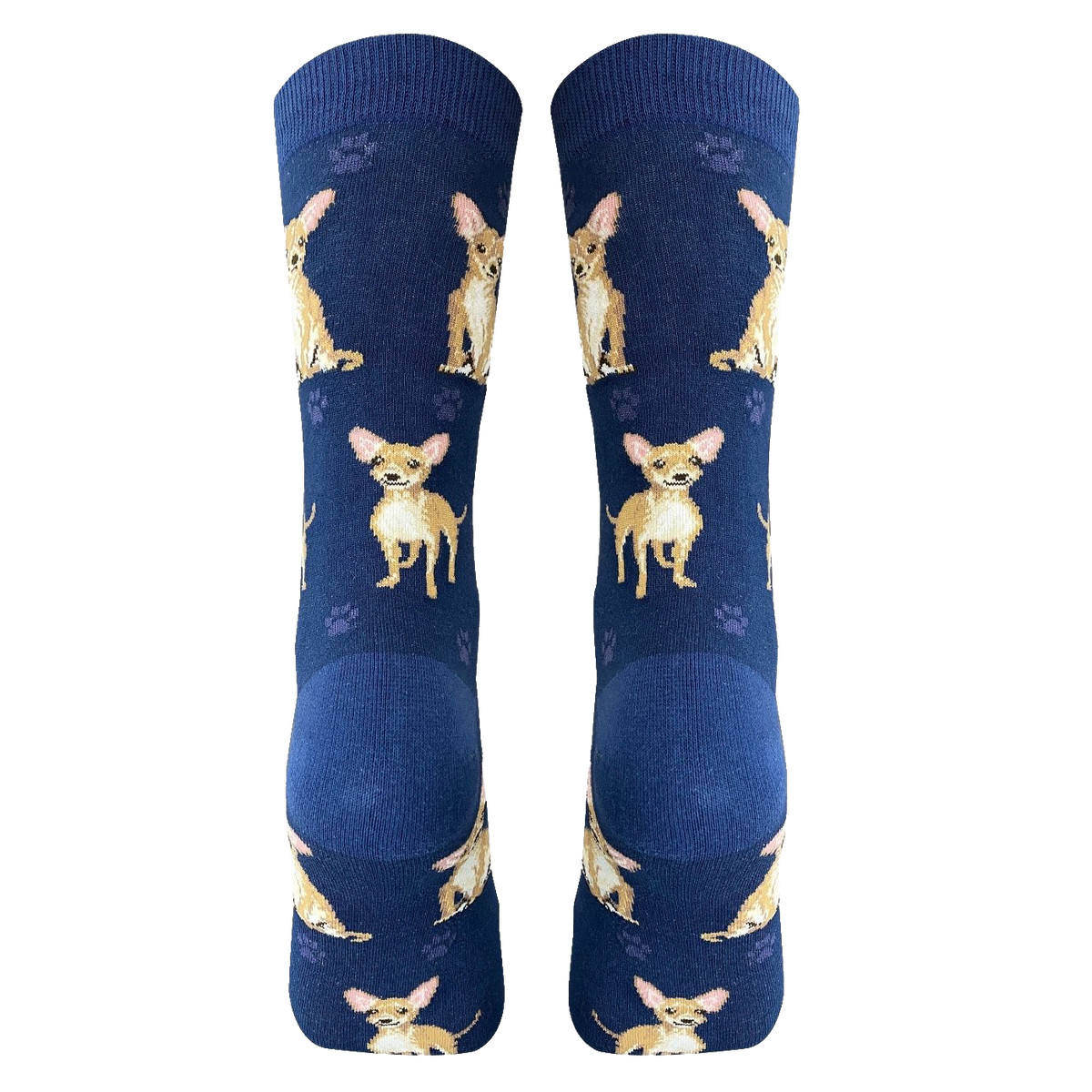 Chihuahua Dog Socks