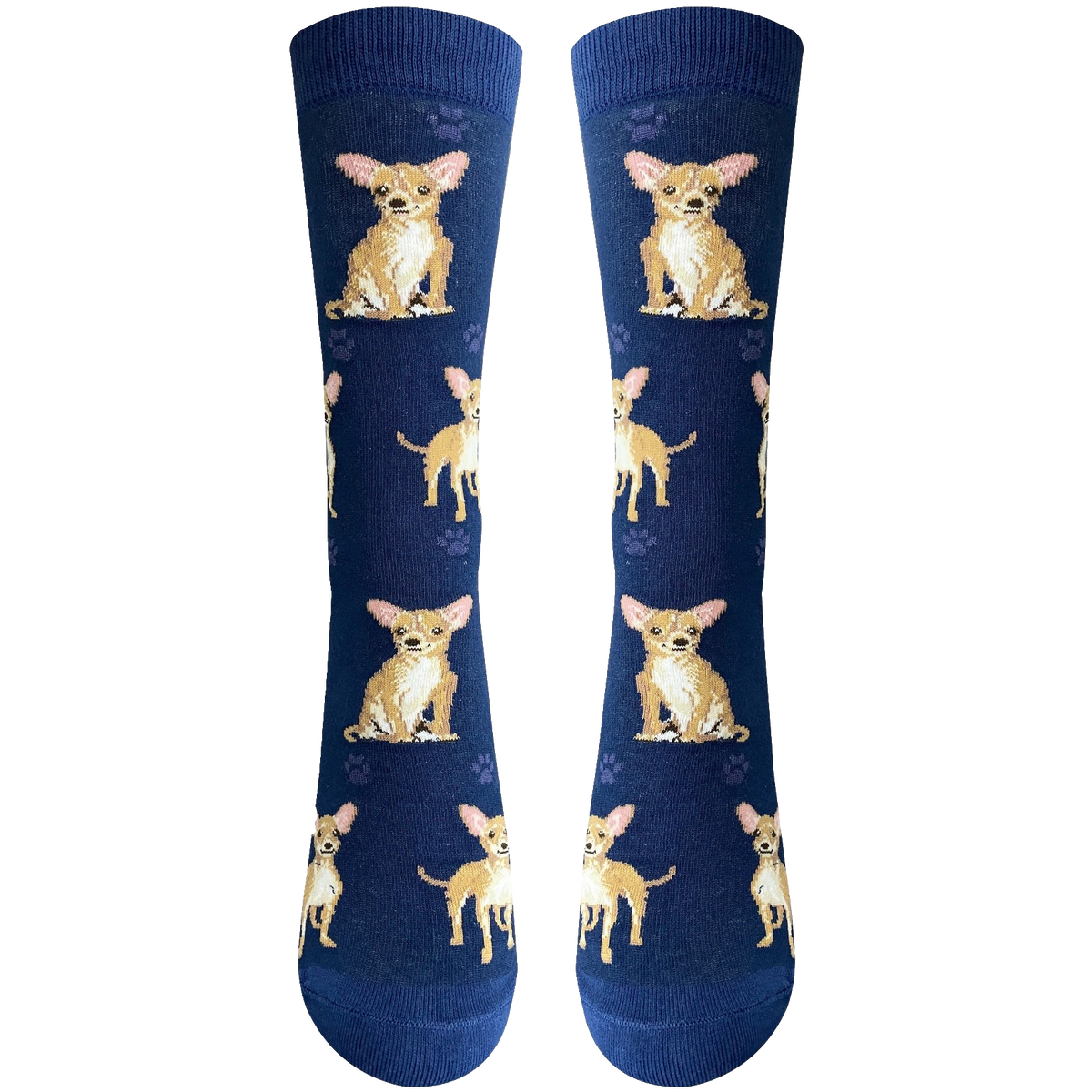 Chihuahua Dog Socks