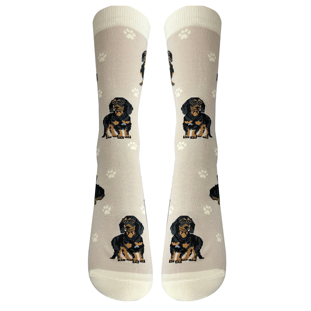 Dachshund Dog Socks